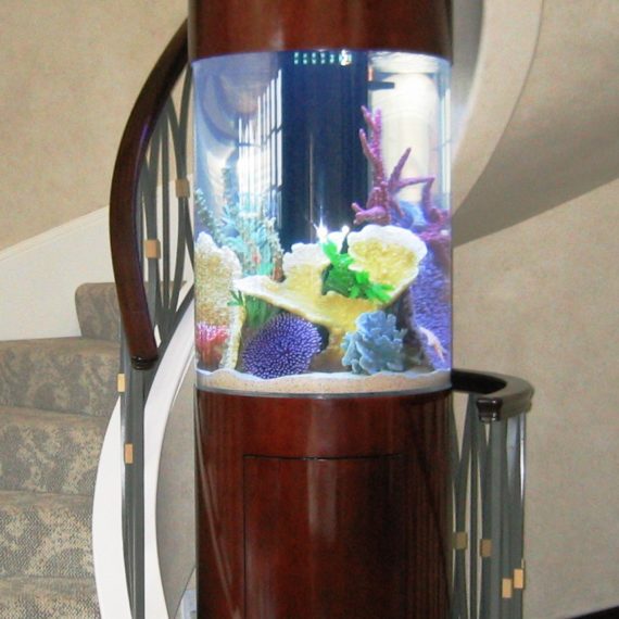 US Aquarium Leasing | Column & Cylindrical Aquariums