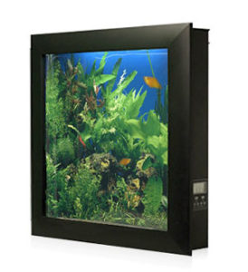 US Aquarium Leasing | Picture Frame Aquariums